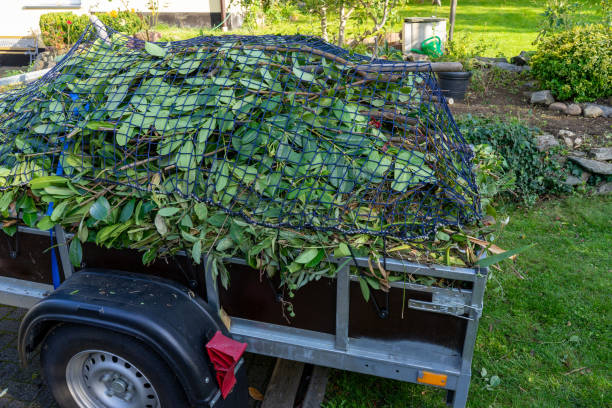 Best Junk Removal for Events  in Brodhead, WI